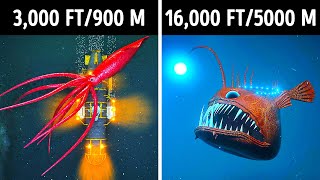 Fascinating 3D Journey to the Ocean Depths [upl. by Zetram929]