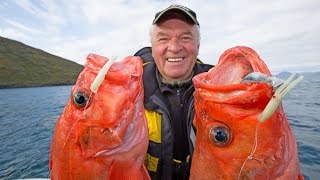 Angeln in Norwegen Der Rognsund Region Sørøya Seiland Alta Heilbutt und Rotbarsch XXL [upl. by Okia]