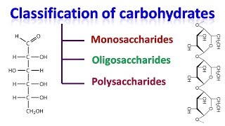 Carbohydrates  classification of carbohydrates [upl. by Yenaiv796]