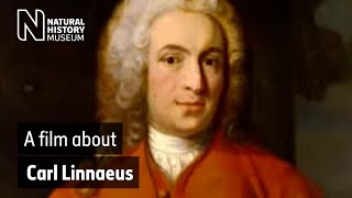 A film about Carl Linnaeus  Natural History Museum [upl. by Atikihc633]