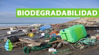 BIODEGRADABILIDAD de los MATERIALES  Productos BIODEGRADABLES [upl. by Segalman]