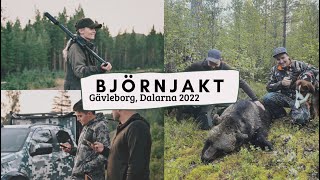 Björnjakt 2022  Bear Hunting Sweden [upl. by Philips]