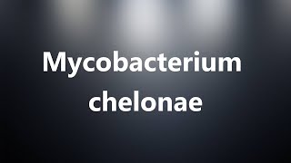 Mycobacterium chelonae  Medical Meaning and Pronunciation [upl. by Cly]