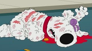 Family guy  Brian dies [upl. by Nylteak]