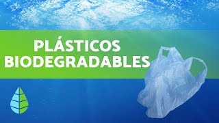 ¿Qué son los PLÁSTICOS BIODEGRADABLES [upl. by Ihsakat116]