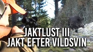 Jaktlust III Vildsvinsjakt [upl. by Aihsekan665]