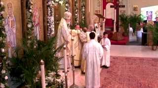 Ordination of a Deacon [upl. by Hearn313]