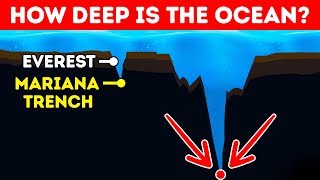 How Deep Is the Ocean In Reality [upl. by Arvin347]