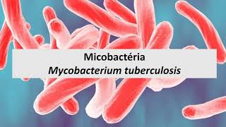 Microbiologia Médica Mycobacterium tuberculosis [upl. by Elayor]