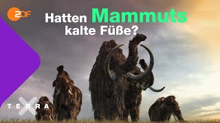 Die Kältetricks der Mammuts  Terra X plus [upl. by Ahseken]