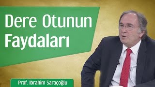 Dere Otunun Faydaları  Prof İbrahim Saraçoğlu [upl. by Nie260]