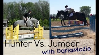 Hunter Vs Jumper  Riding Style amp Rules [upl. by Aniraad]