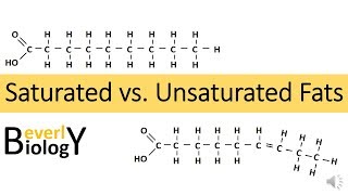 Saturated vs Unsaturated Fats [upl. by Bedell]