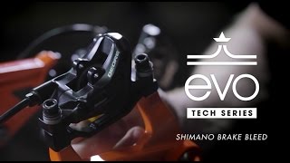 How to Bleed Shimano Hydraulic Disc Brakes [upl. by Chaing]