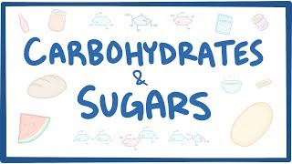 Carbohydrates amp sugars  biochemistry [upl. by Hare870]