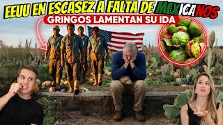 EN ESTADOS UNIDOS SE PUDRE LA COMIDA SIN MEXICANOS  GRINGOS DESESPERADOS PORQUE REGRESEN MIGRANTES [upl. by Nabru]