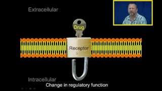 Introduction to Pharmacology [upl. by Darill]