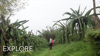 A Farmers Story Sustaining Lives Through Farming  Explore Philippines [upl. by Garvey]