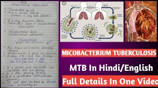 Micobacterium tuberculosis  Mycobacterium tuberculi microbiology [upl. by Erodeht]