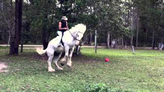 Bucked Off  Man thrown from saddle [upl. by Fishback]