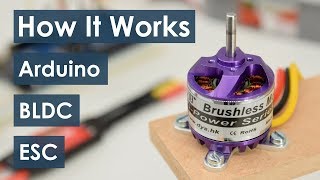 How Brushless Motor and ESC Work and How To Control them using Arduino [upl. by Lev]