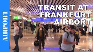 TRANSIT WALK AT FRANKFURT Airport FRA Terminal 1  Connection Flight Transfer Arriving amp Departing [upl. by Acirtap]